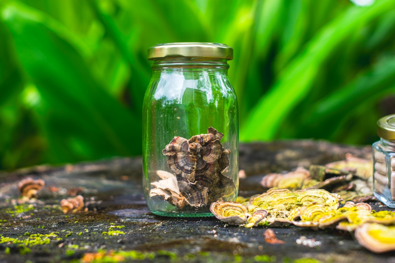 Micro Cola de Pavo - Vista 5